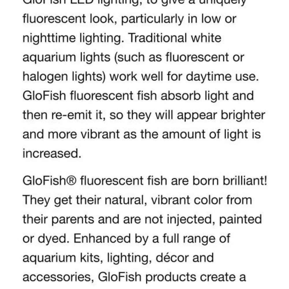 Glo Fish aquarium decoration ornament SKULL resin 6 in XL size fluorescent NEW